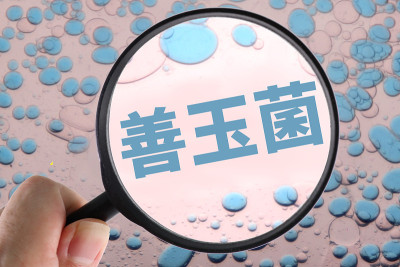 有益细菌
