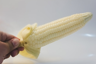 手捧煮熟的玉米和果皮单独食用
