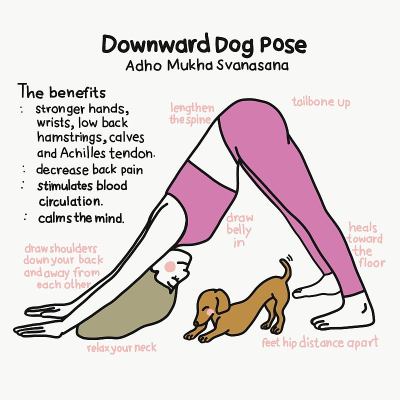 下犬瑜伽姿势和好处卡通矢量插图