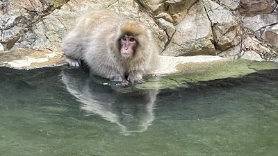 家庭