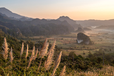 福龙家森林公园的山景