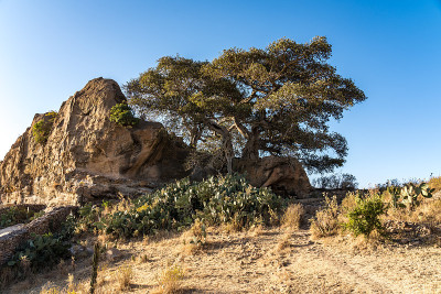 埃塞俄比亚北部Tigray Gheralta的景观。
