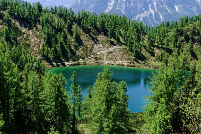 青山绿水，青山绿水，青山绿树
