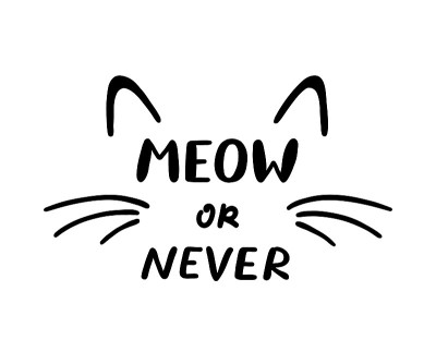 喵或Never短语和猫耳朵和胡须。矢量图
