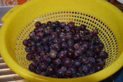 黑暗的红葡萄