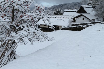 雪白的老私人住宅