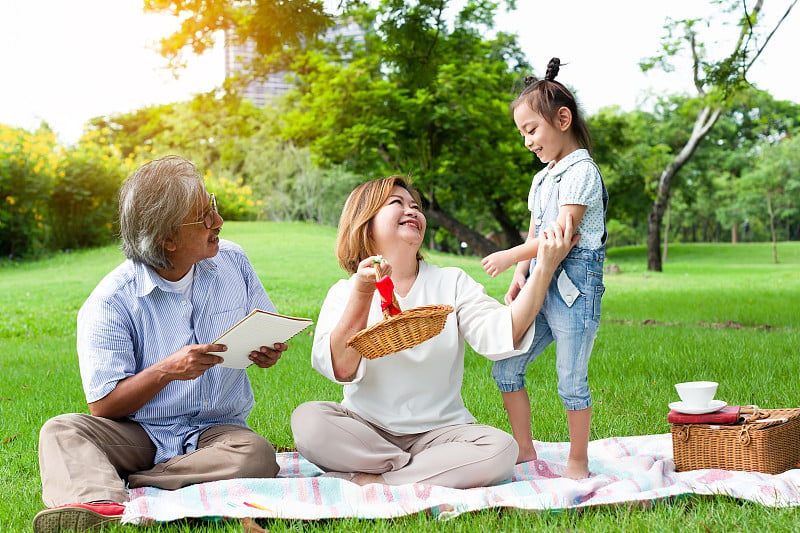 爷爷奶奶和孙子孙女坐在公园里，和爷爷奶奶一起度假，和爷爷奶奶一起夏天，概念家庭度假的生活方式，绿色自