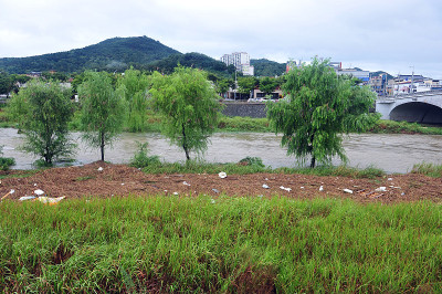 全树川河被大雨淹没