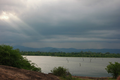 Udawalawe的野生动物园