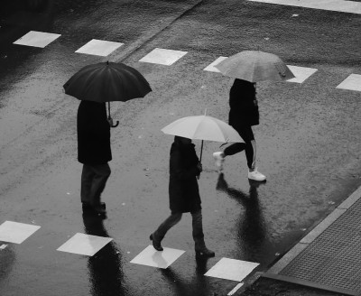 人们在雨中行走