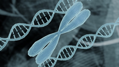 染色体和DNA表示生物信息学生物技术的概念