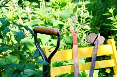 大流行期间城市花园中的园艺工具和蔬菜