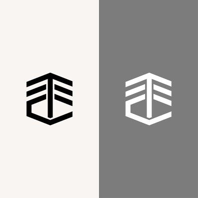 标志或图标字母TTC