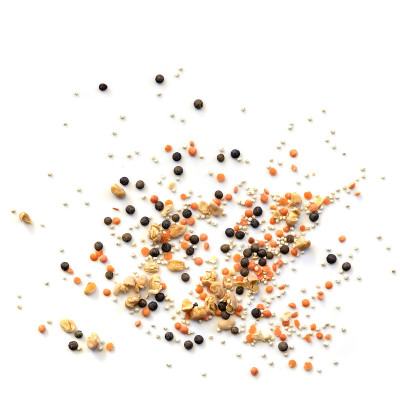 小扁豆，藜麦和干豆分散孤立在白色