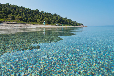 清晨，斯科佩洛斯岛米利亚海滩，平静而清澈的绿松石海水