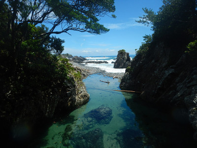 河口