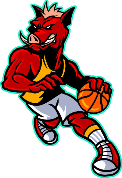 Wildboar basketball