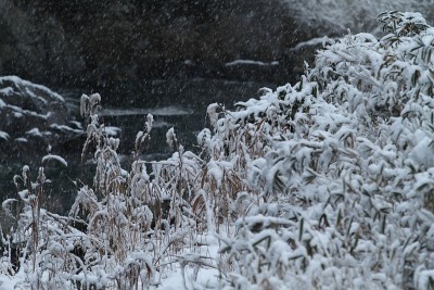 白雪皑皑的河岸