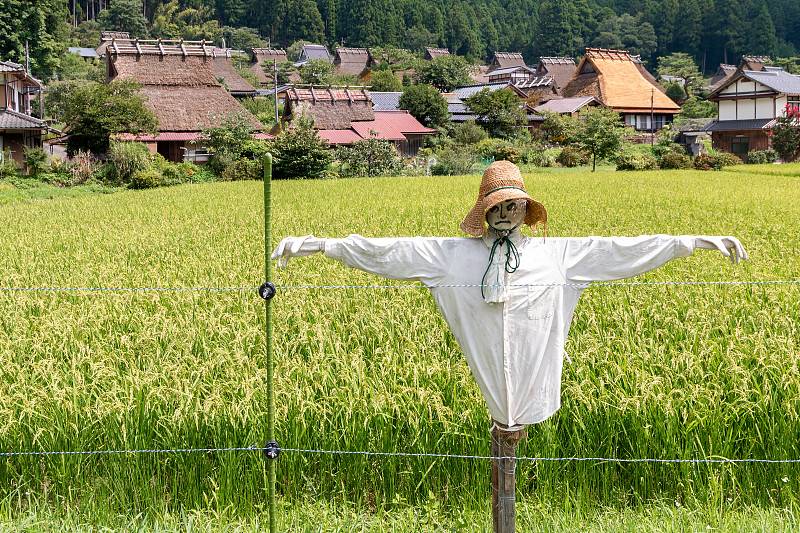 日本京都宫山稻草人