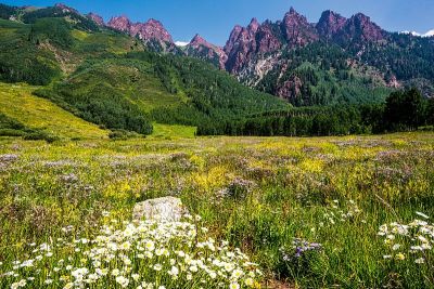 紫金山花谷