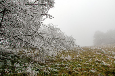 下雪的冬天的风景