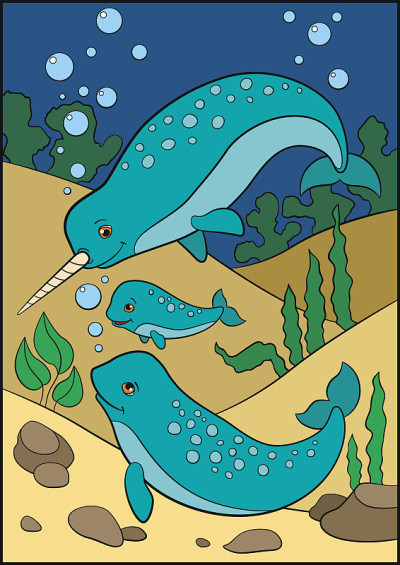 着色page_narwhal02_