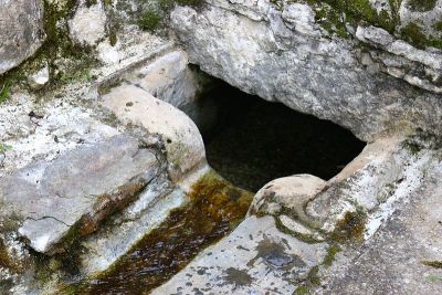 自动饮水器