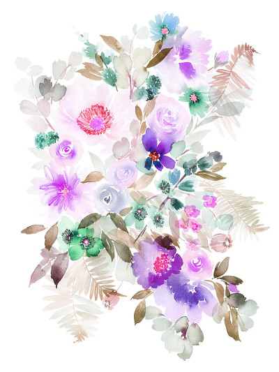 鲜花水彩插图