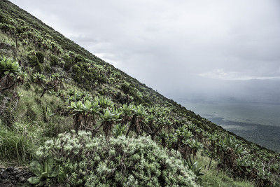 尼拉贡戈火山，北基伍，刚果民主共和国