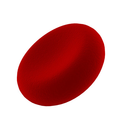 血细胞