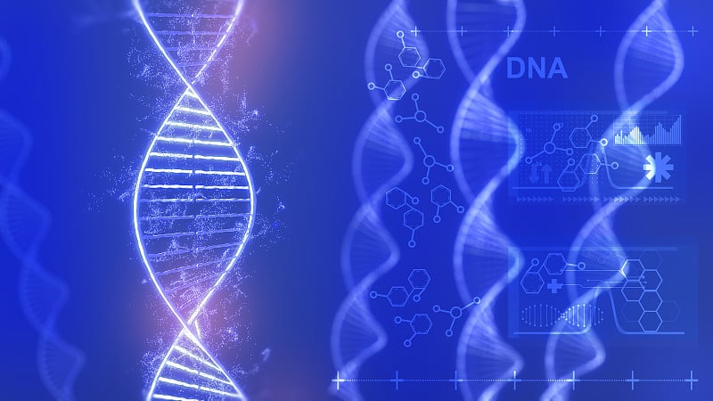 DNA结构的概念背景说明，生命的遗传编辑技术，DNA