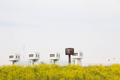 荒川土手の春の風景