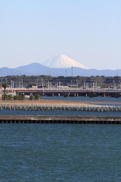 日本静冈县滨松市的滨之子湖和富士山