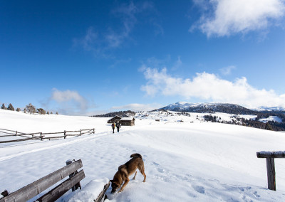 南泰洛雪道风景冬季旅行欧洲