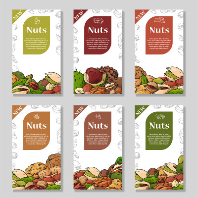 Nuts and seeds collection. Hand drawn elements. Fl