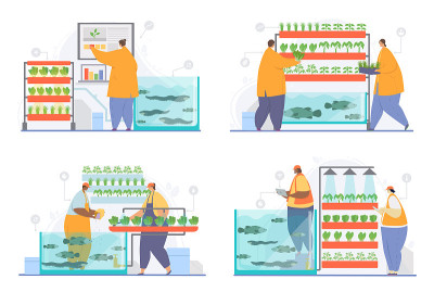 水耕法,空气,aquaponics”