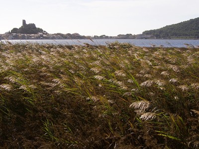 格鲁桑
