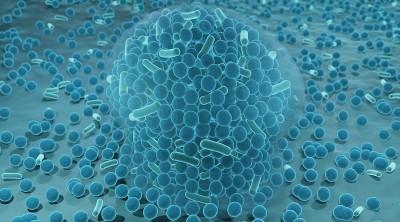 细菌在生物膜的3d插图
