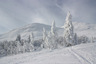 美丽的白山滑雪