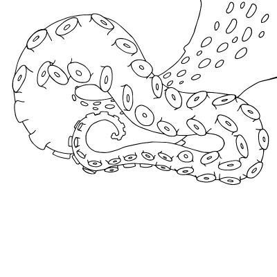 矢量素描卡通章鱼触手