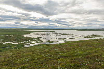湖在Myvatn