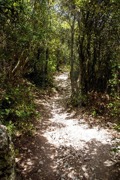 Mount Conero