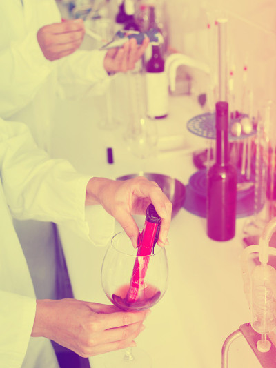 在化学实验室进行葡萄酒质量检测