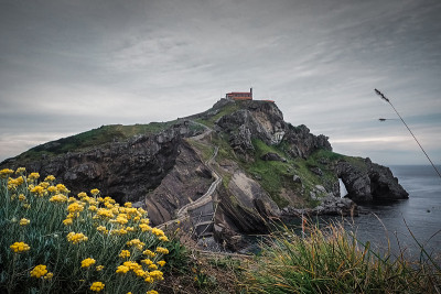 从圣胡安海岸到Gaztelugatxe。黄色的花在春天和夏天