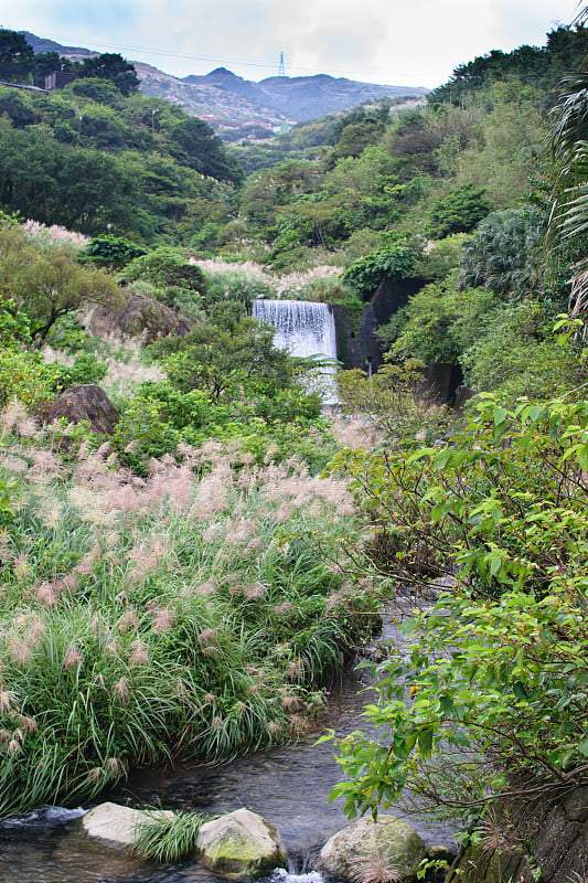 台湾公园的河