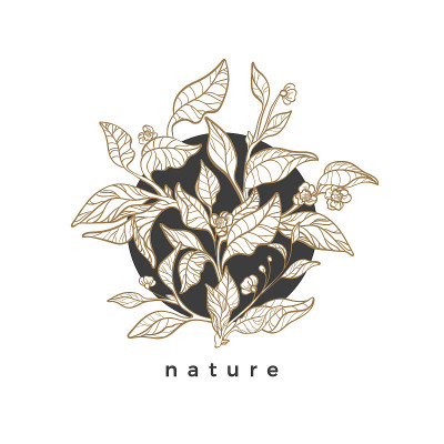 Vector floral symbol in circle. Nature organic des