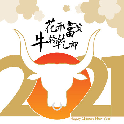 牛年2021年