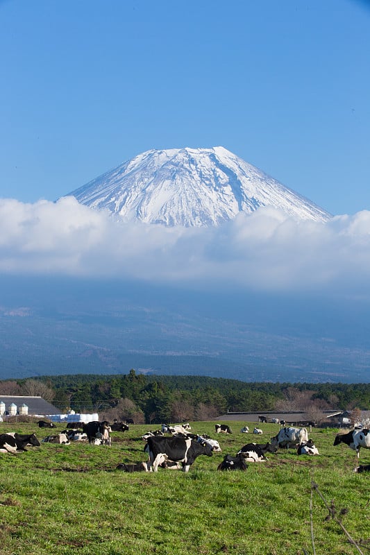 从浅尻高原附近看到的富士山