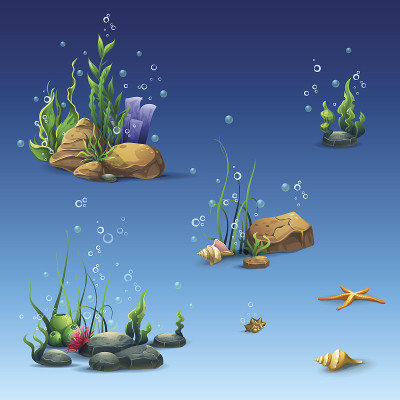 水下世界的套装，有贝壳，海草，海星，石头