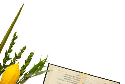 犹太人秋季住棚节。传统符号(四种):Etrog, lulav, hadas, arava